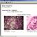 Software de Anatomia Patologica - Dasi Informatica
