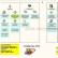 Programa de Gesti�n de de Carpinter�as, Cerrajer�as y Cristaler�as - CEA Ordenadores